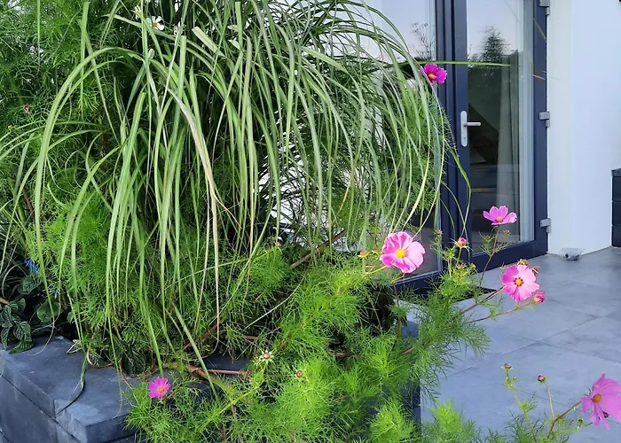 Vitay * Mielno (Koszalin)